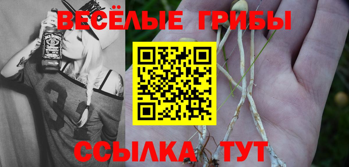 Галлюциногенные грибы мухоморы Обь