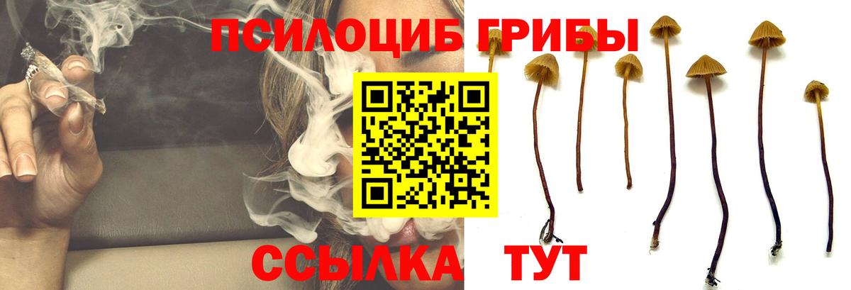 Обь  Галлюциногенные грибы GOLDEN TEACHER  Вход с VPN 
